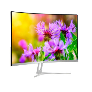 Monitor Teros TE-3127, 23.6" CURVO IPS, 1920x1080, Full HD, HDMI, VGA, DC
